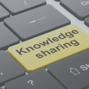 4. Consulting Services